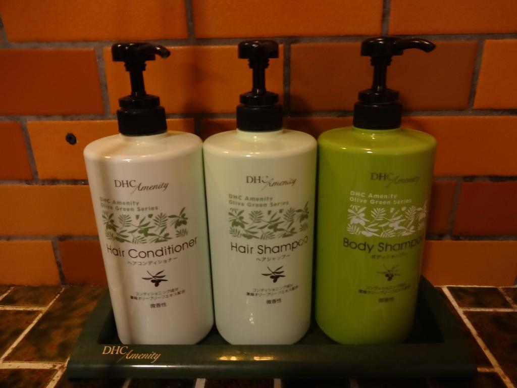 Resort Inn Seikan Hakuba Zewnętrze zdjęcie